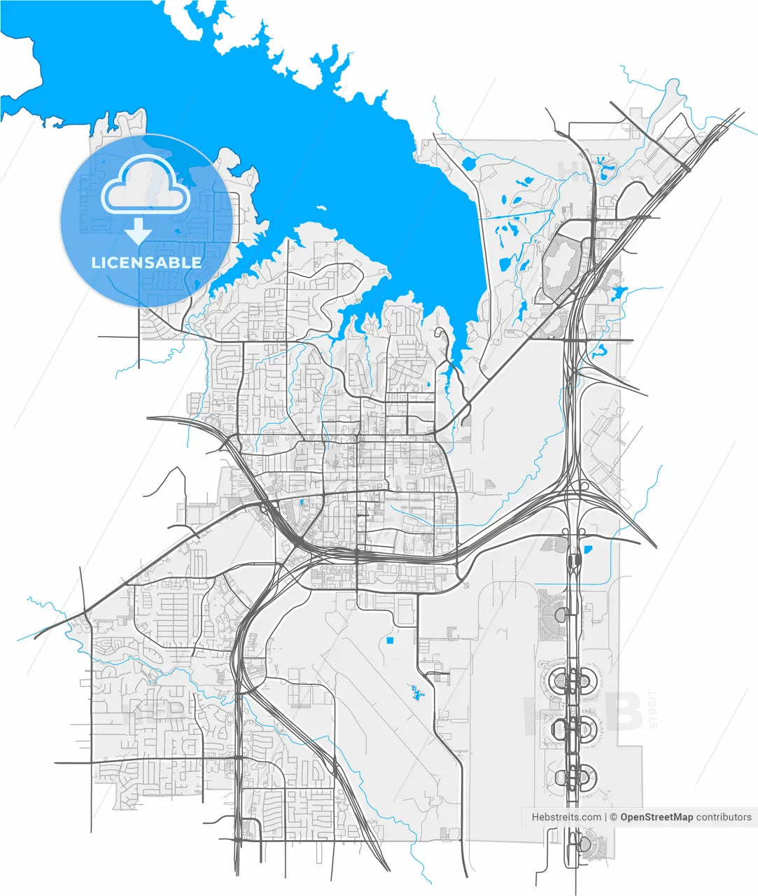 Grapevine, Texas, United States, high resolution vector map - Instant download PDF and JPG