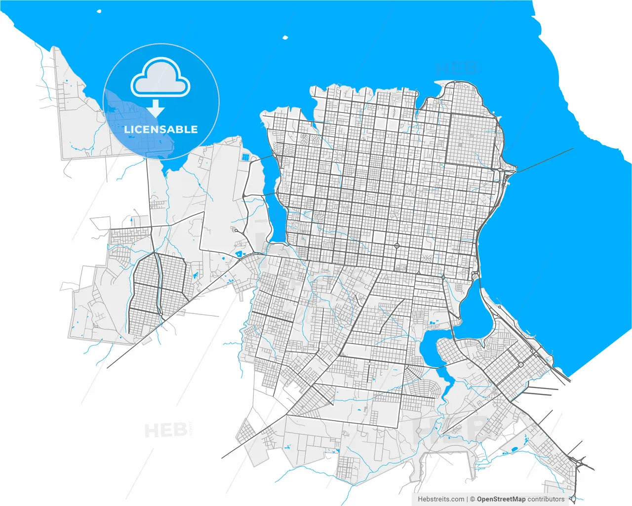 Posadas, Argentina, high resolution vector map - Instant download PDF and JPG