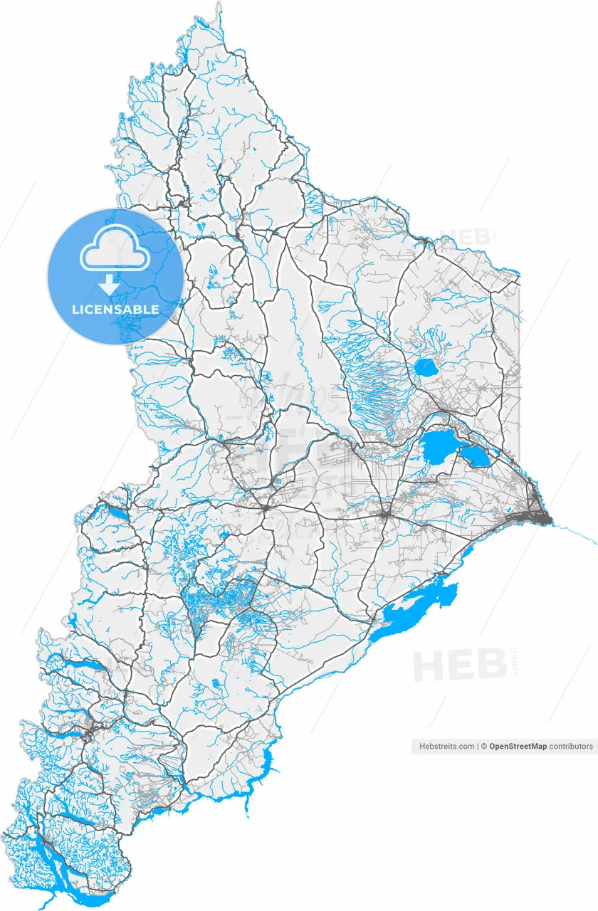 Neuquen, Argentina, high resolution vector map - Instant download PDF and JPG