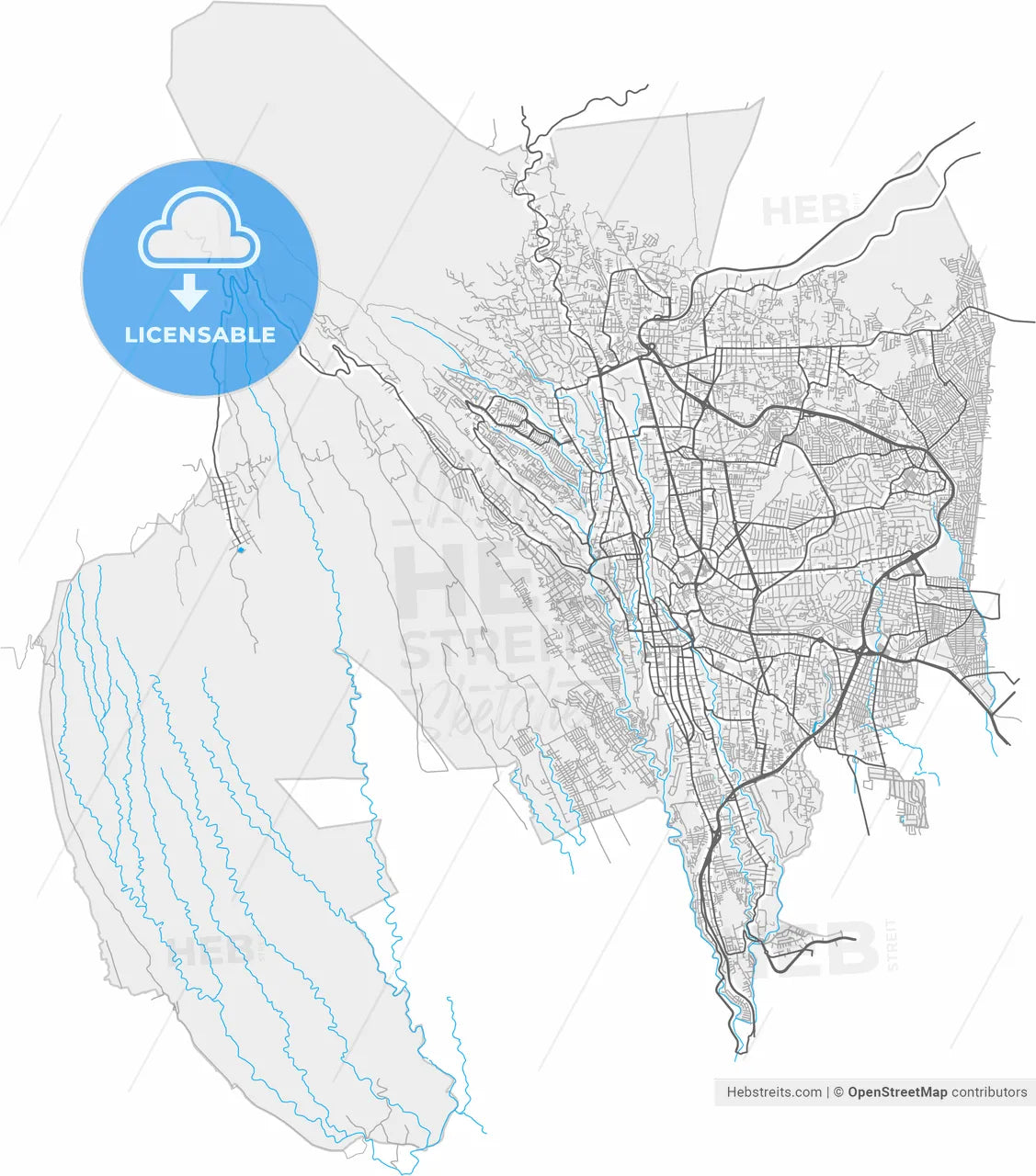 Cuernavaca, Morelos, Mexico, high resolution vector map - Instant download PDF and JPG