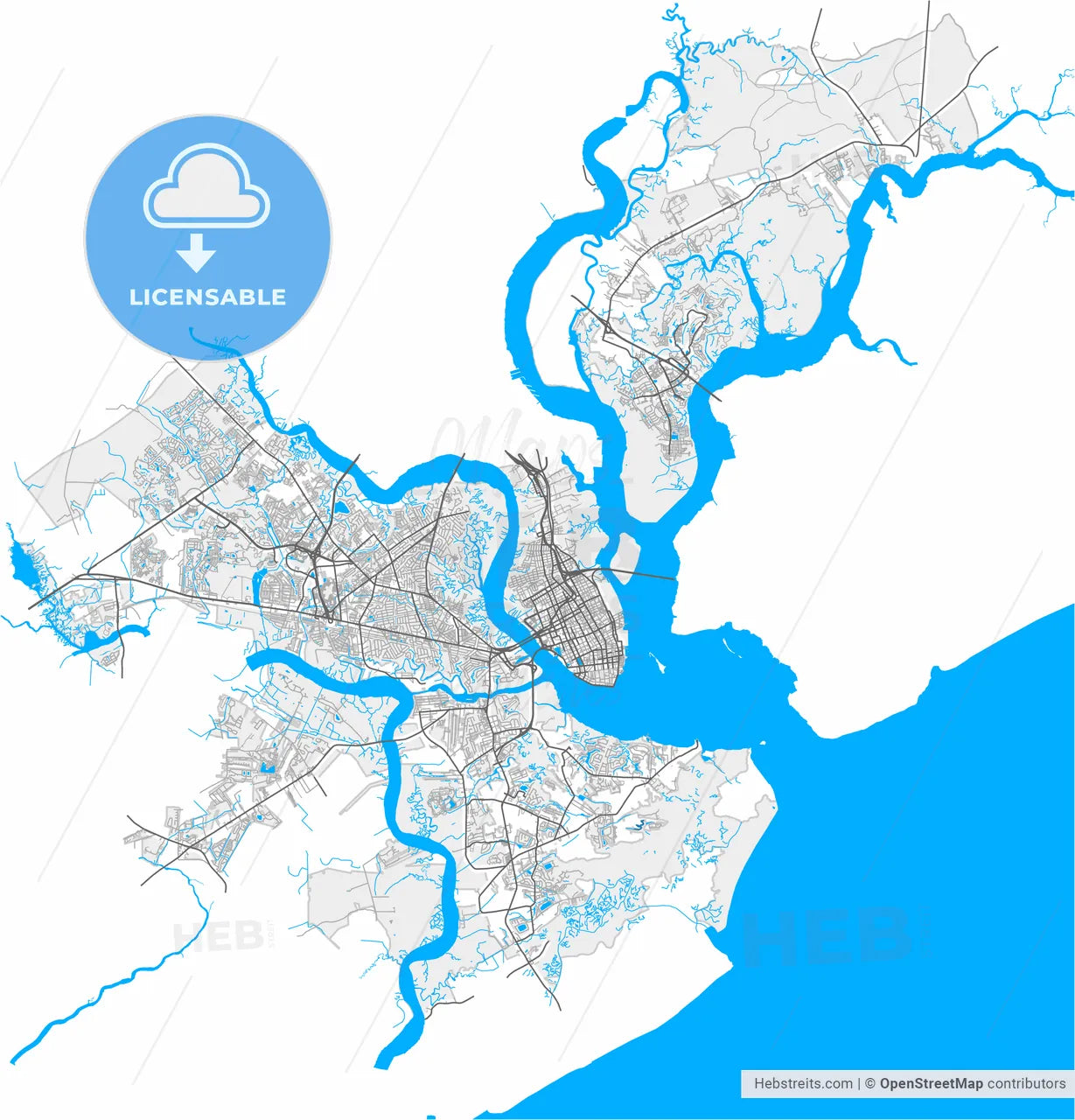 Charleston, South Carolina, United States, high resolution vector map - Instant download PDF and JPG
