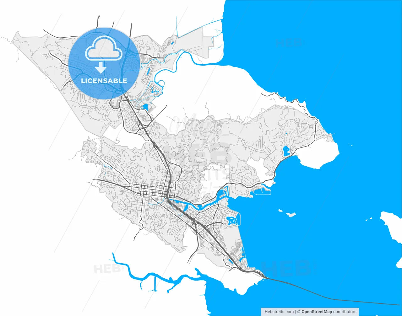 San Rafael, California, United States, high resolution vector map - Instant download PDF and JPG