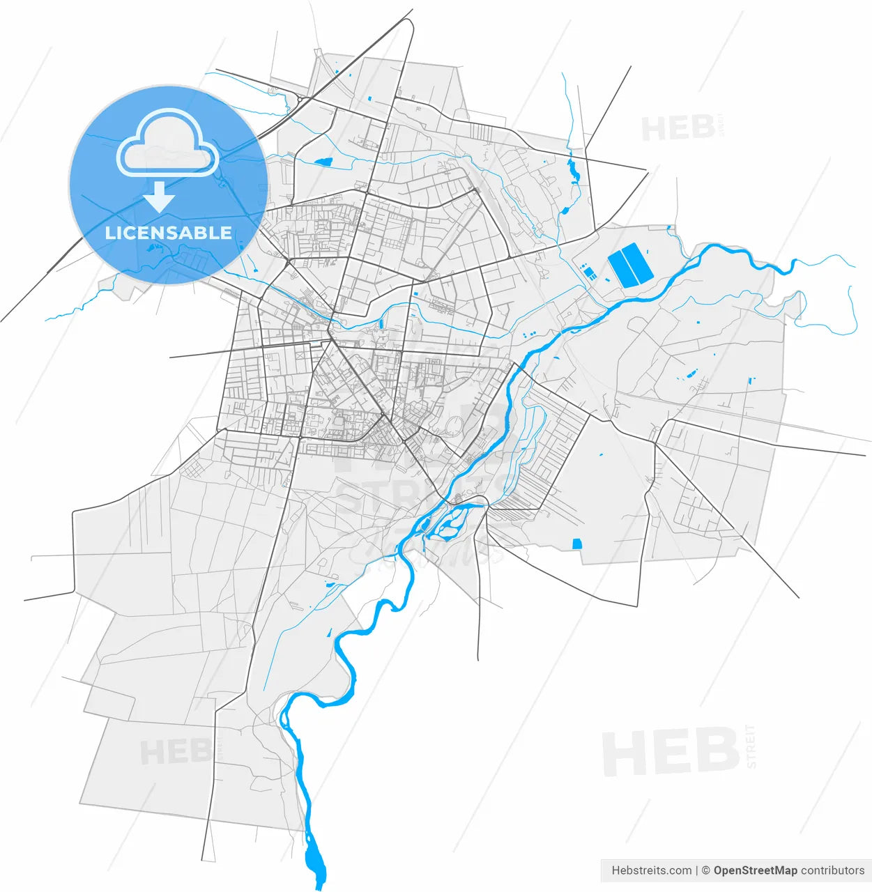 Tomaszów Mazowiecki, Łódź, Poland, high resolution vector map - Instant download PDF and JPG