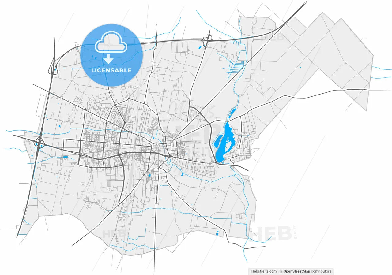Piotrków Trybunalski, Łódź, Poland, high resolution vector map - Instant download PDF and JPG