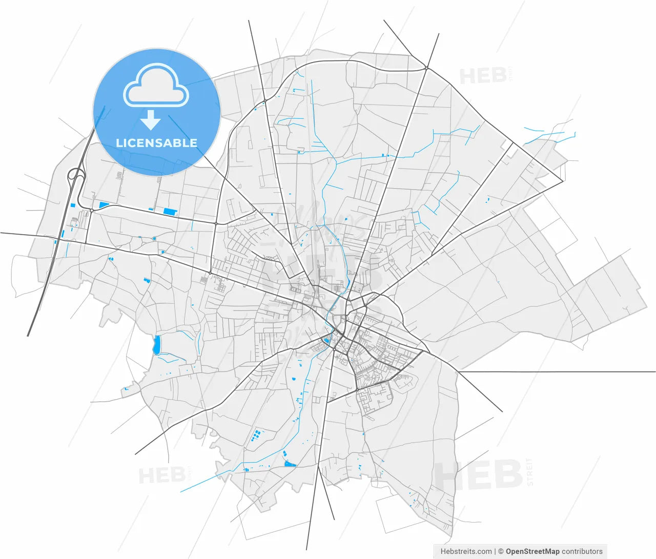Radomsko, Łódź, Poland, high resolution vector map - Instant download PDF and JPG