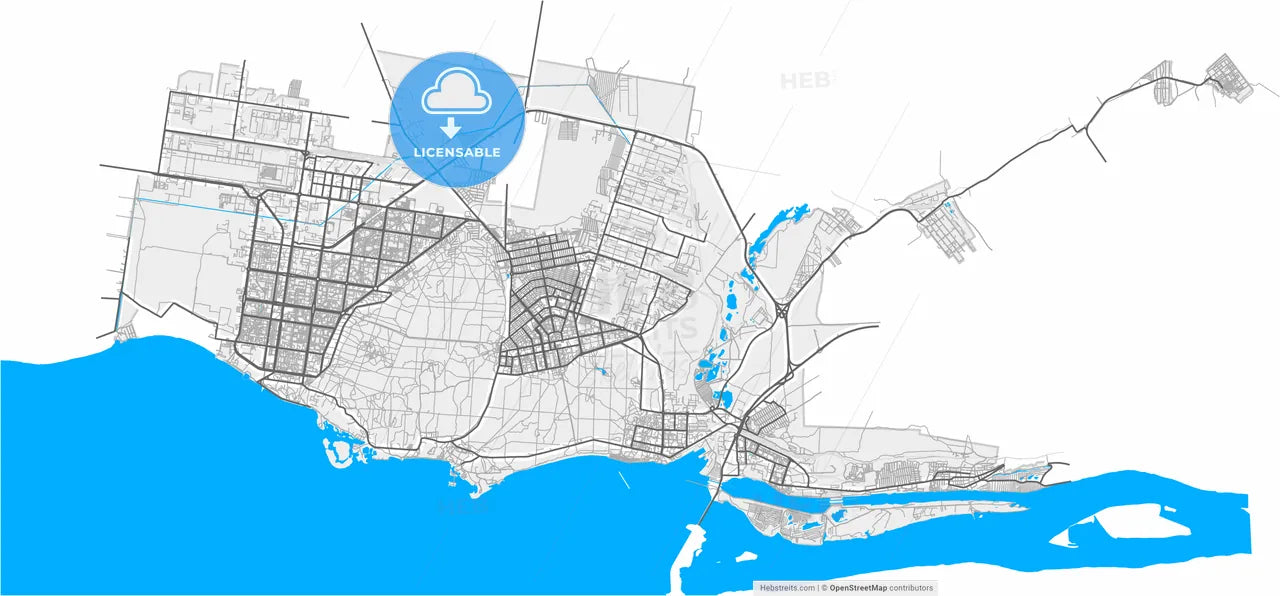 Tolyatti, Samara Oblast, Russia, high resolution vector map - Instant download PDF and JPG