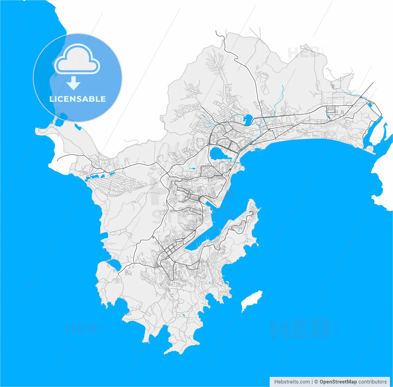 Nakhodka, Primorsky Krai, Russia, high resolution vector map - Instant download PDF and JPG