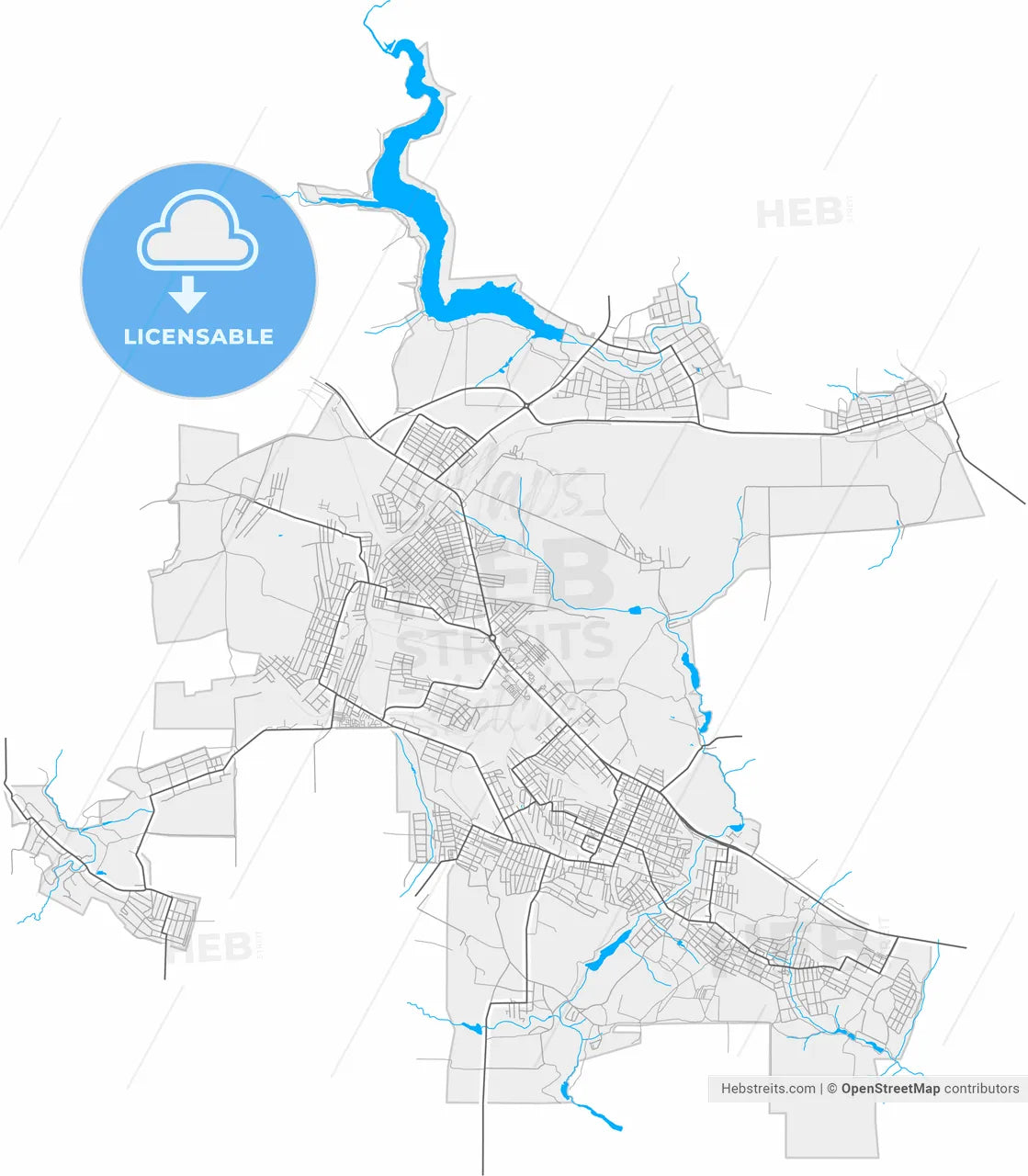 Novoshakhtinsk, Rostov Oblast, Russia, high resolution vector map - Instant download PDF and JPG