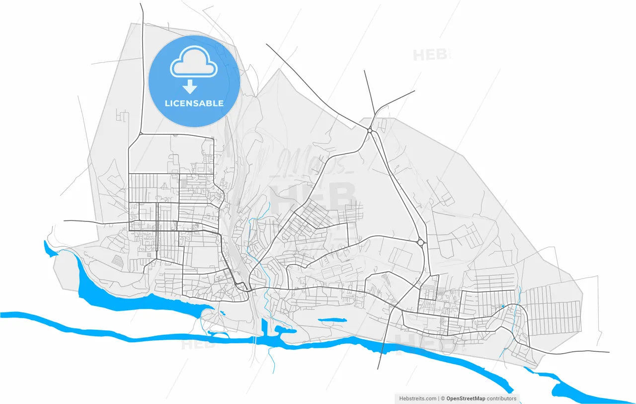 Liski, Voronezh Oblast, Russia, high resolution vector map - Instant download PDF and JPG