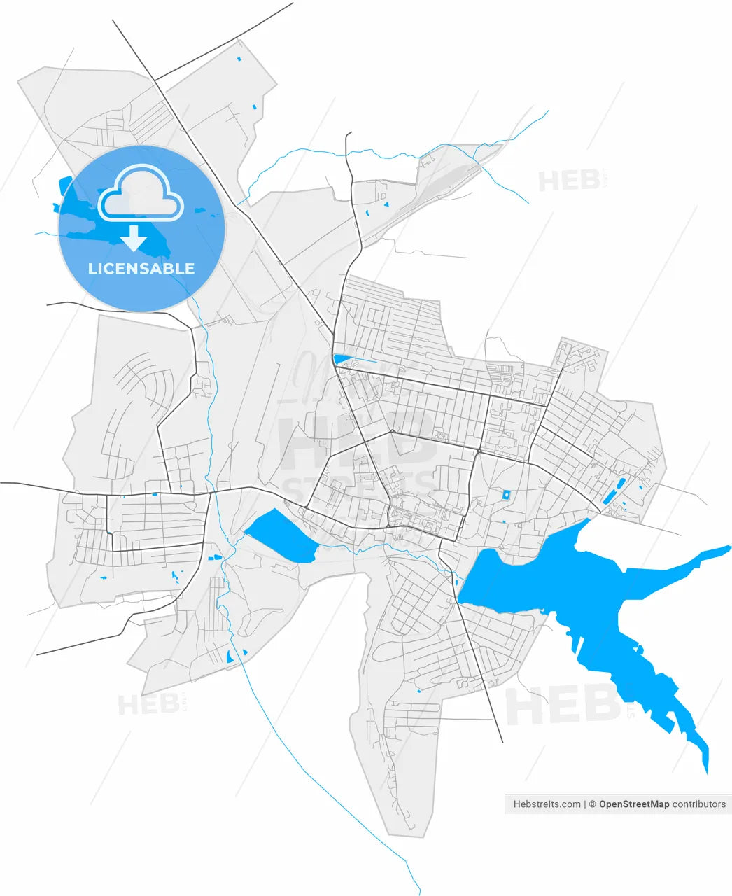 Vyksa, Nizhny Novgorod Oblast, Russia, high resolution vector map - Instant download PDF and JPG