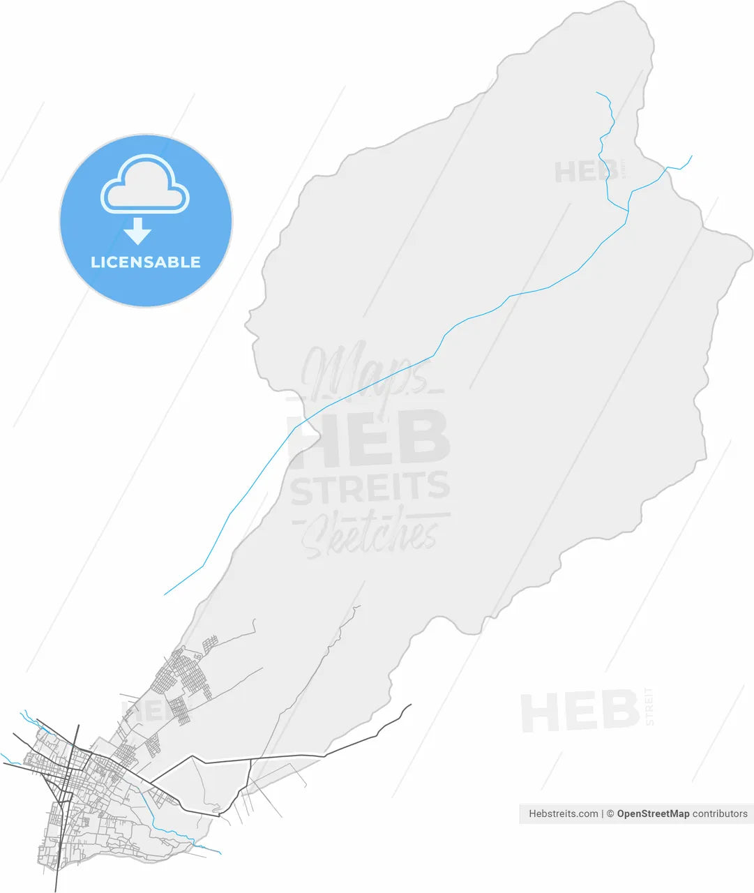 Chincha Alta, Peru, high resolution vector map - Instant download PDF and JPG