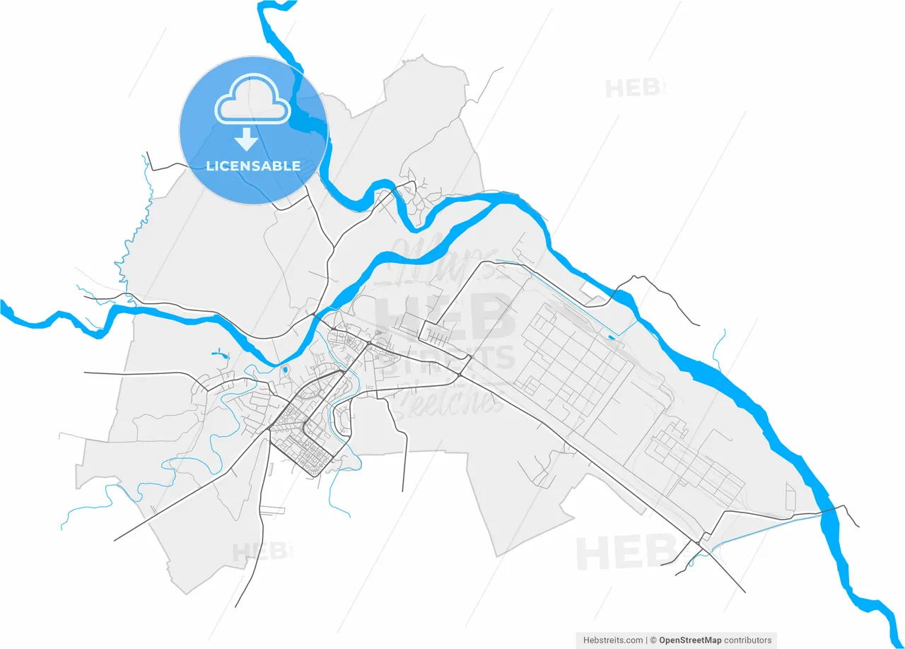 Onești, Bacău, Romania, high resolution vector map - Instant download PDF and JPG