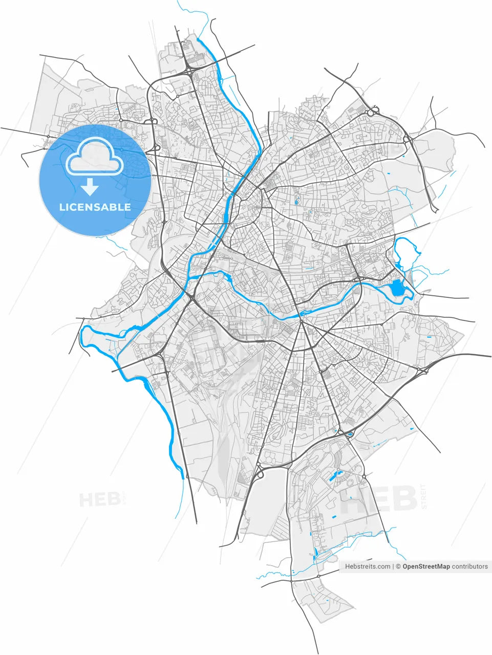 Le Mans, Sarthe, France, high resolution vector map - Instant download PDF and JPG