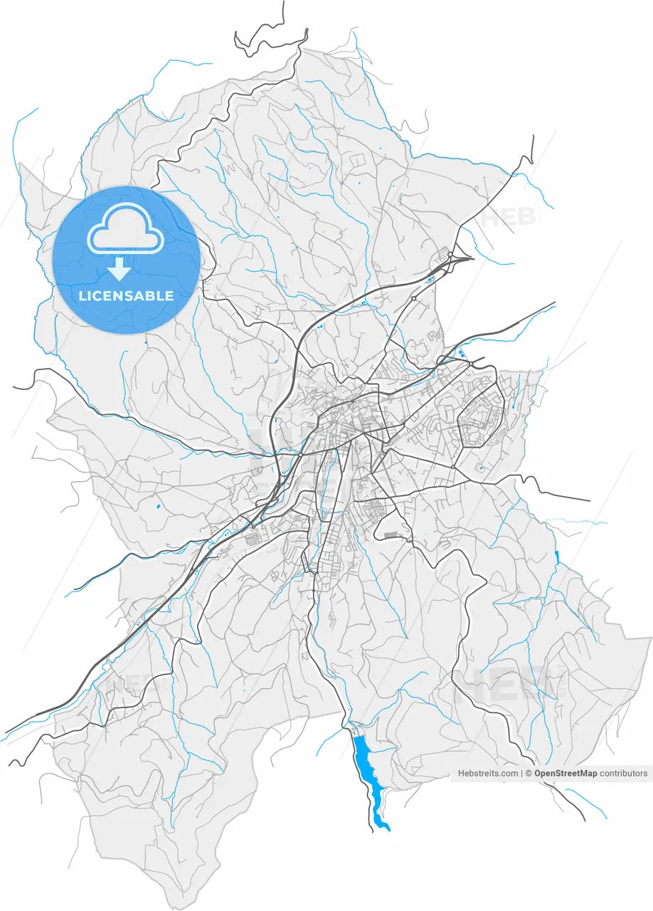 Saint-Chamond, Loire, France, high resolution vector map - Instant download PDF and JPG
