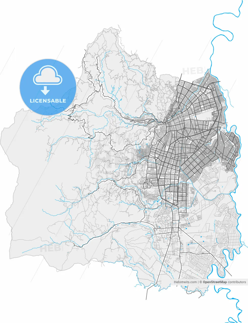 Cali, Colombia, high resolution vector map - Instant download PDF and JPG