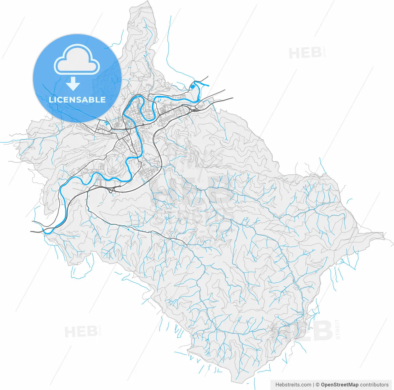 Leoben, Styria, Austria, high resolution vector map - Instant download PDF and JPG