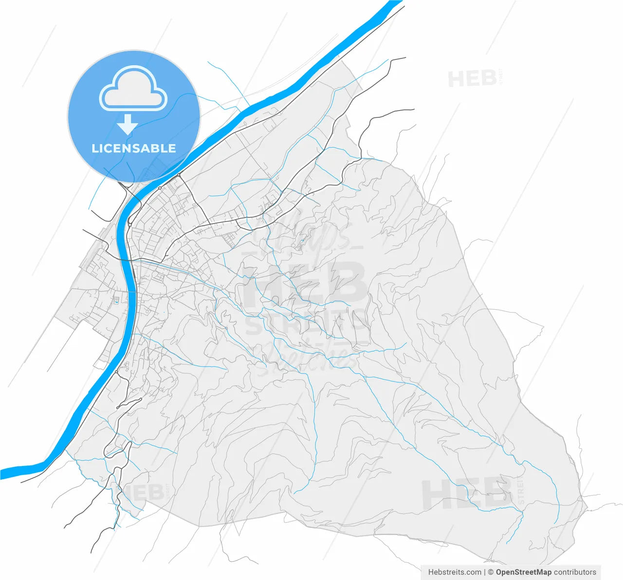 Schwaz, Tyrol, Austria, high resolution vector map - Instant download PDF and JPG