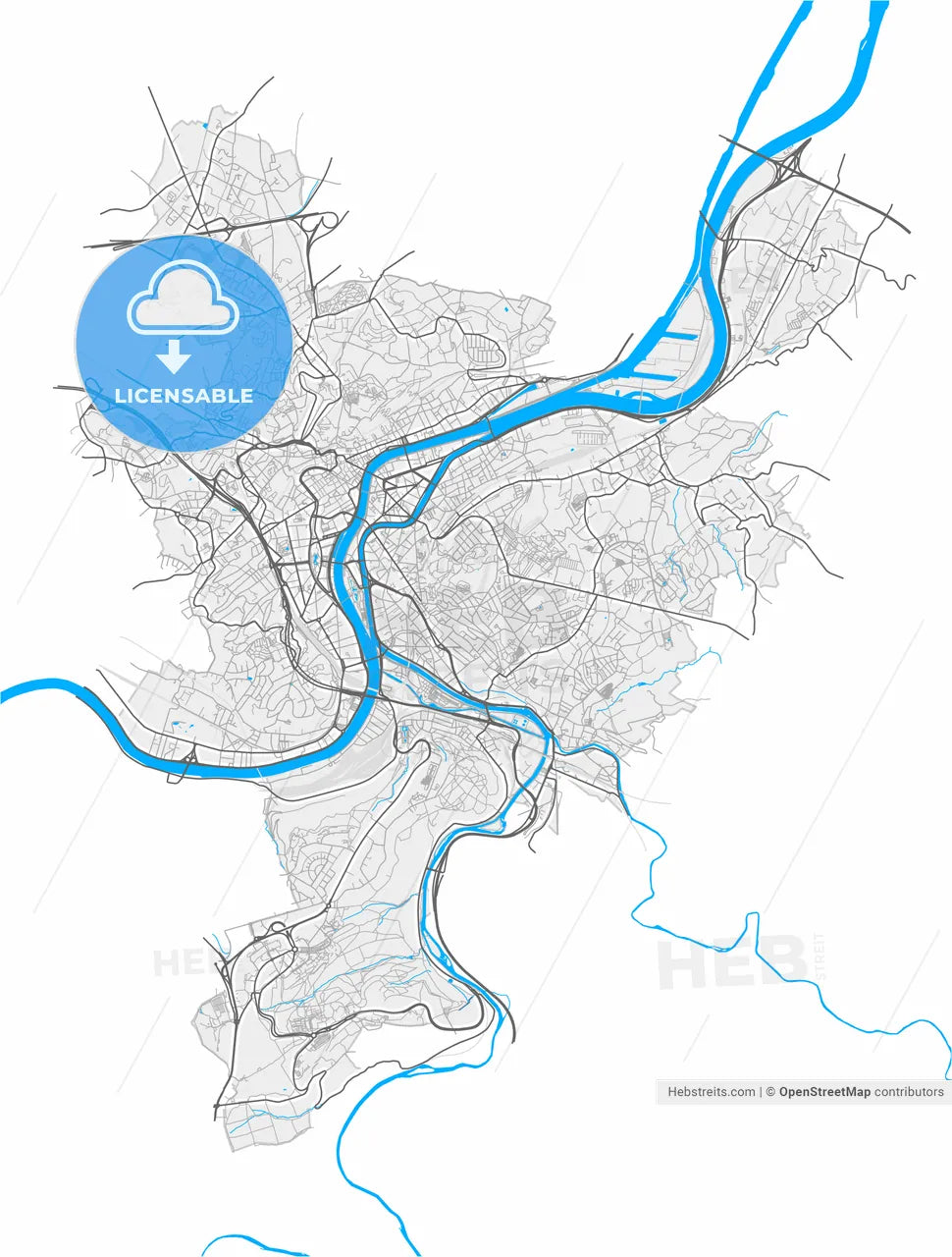 Liège, Liège, Belgium, high resolution vector map - Instant download PDF and JPG