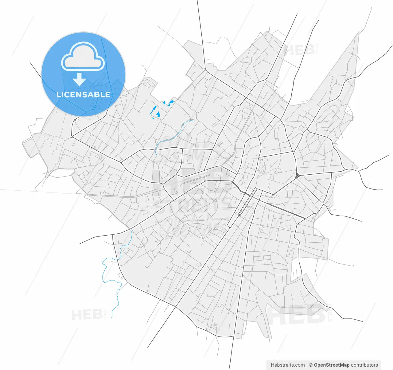 Zugdidi, Samegrelo-Zemo Svaneti, Georgia, high resolution vector map - Instant download PDF and JPG