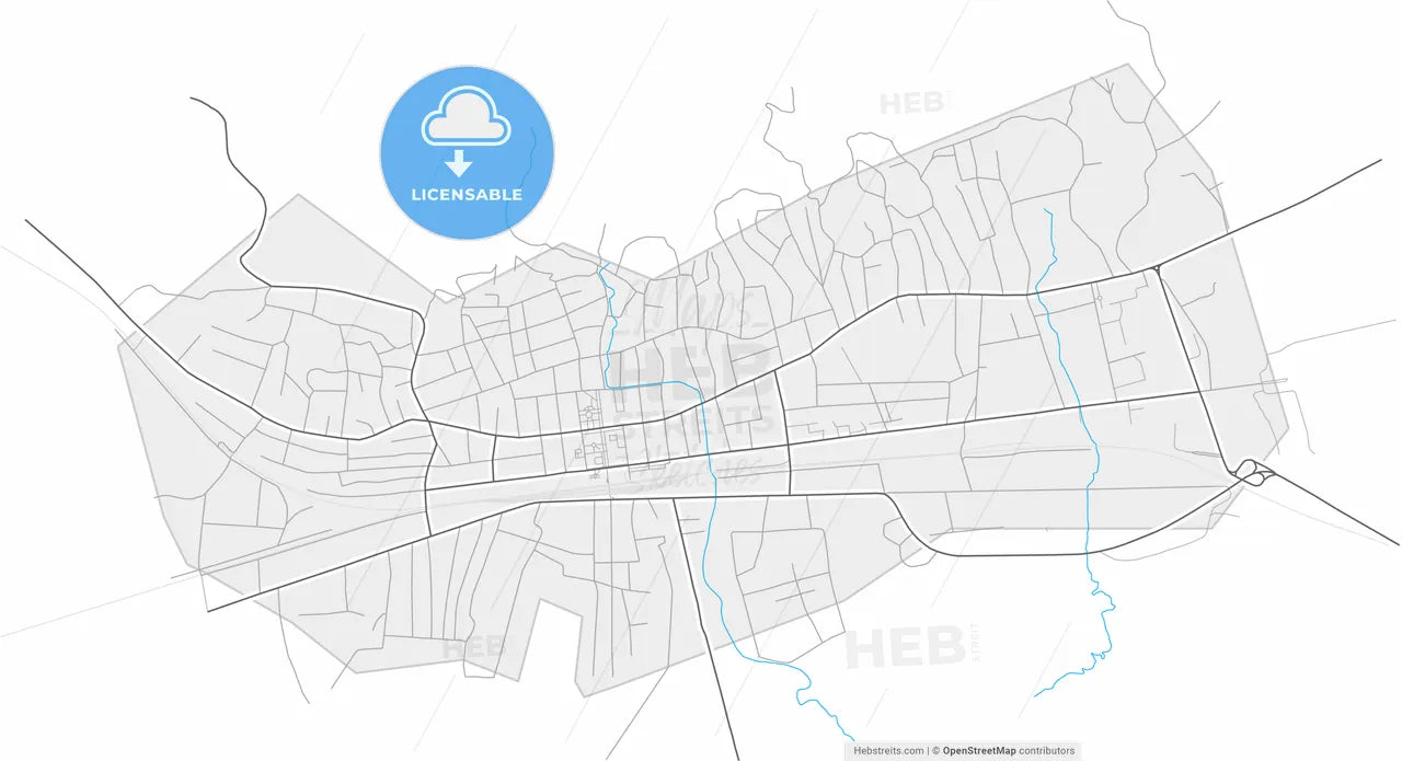 Senaki, Samegrelo-Zemo Svaneti, Georgia, high resolution vector map - Instant download PDF and JPG