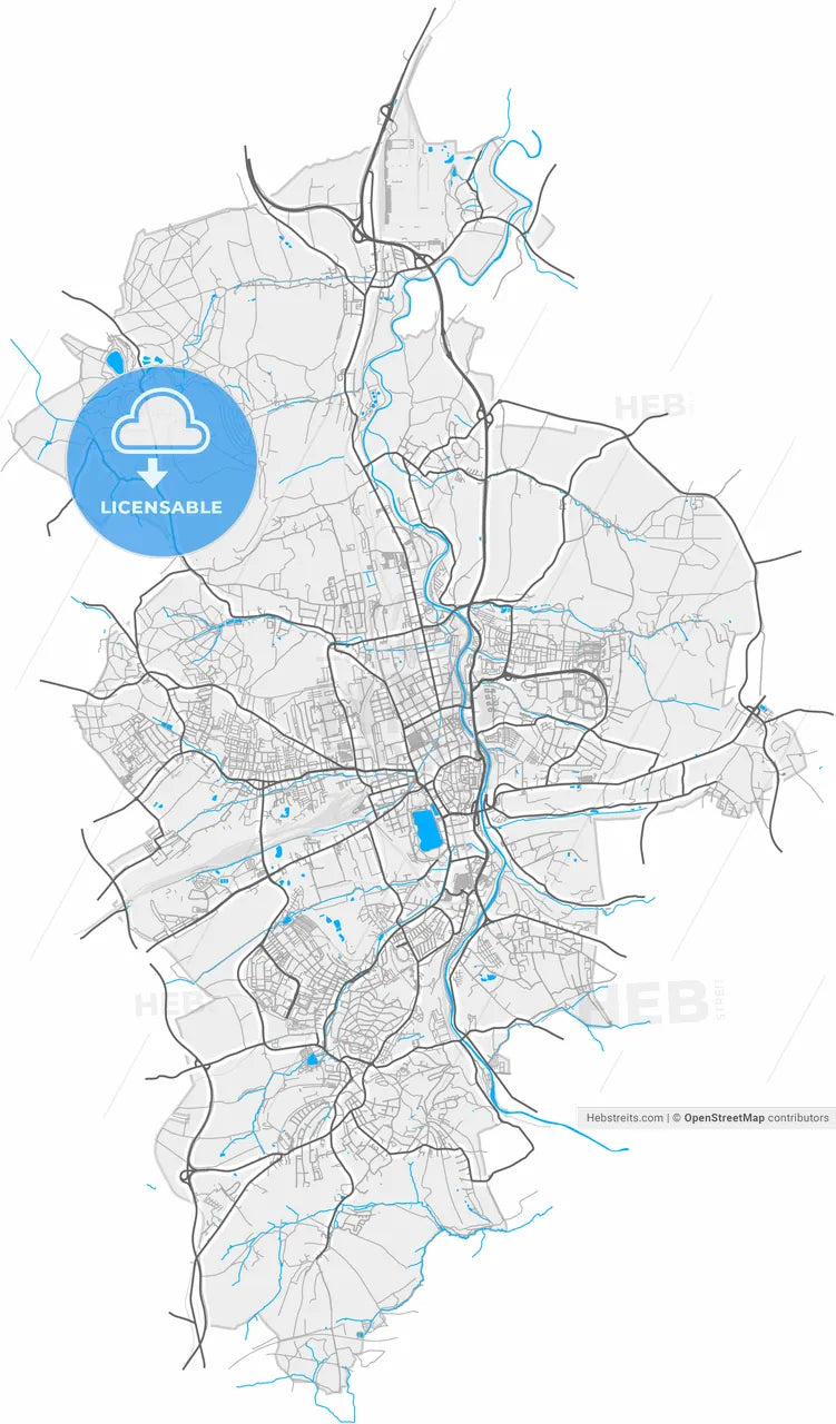 Zwickau, Saxony, Germany, high resolution vector map - Instant download PDF and JPG