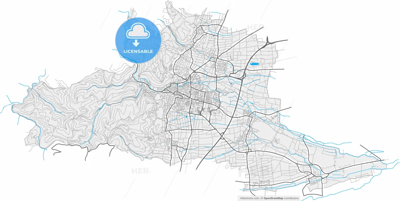 Neustadt an der Weinstraße, Rheinland-Pfalz, Germany, high resolution vector map - Instant download PDF and JPG