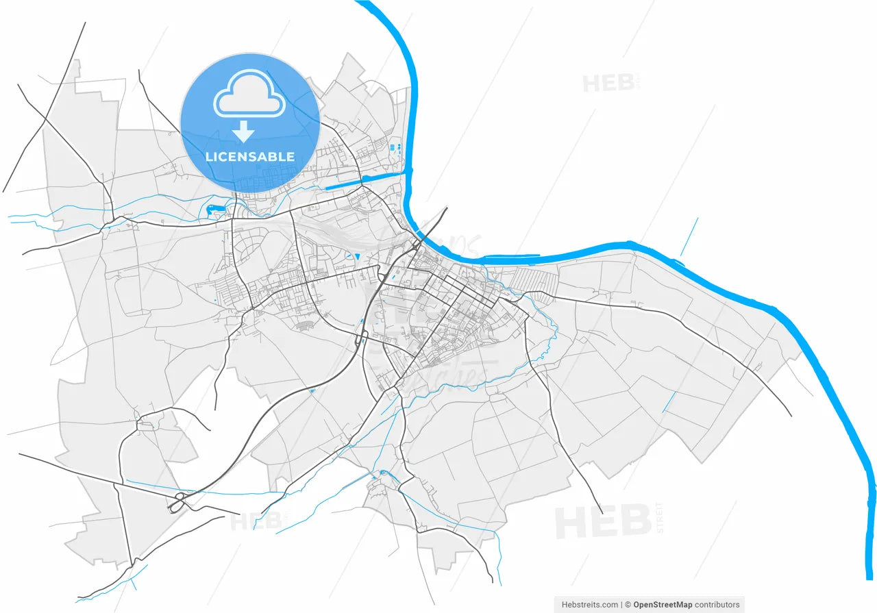 Riesa, Saxony, Germany, high resolution vector map - Instant download PDF and JPG