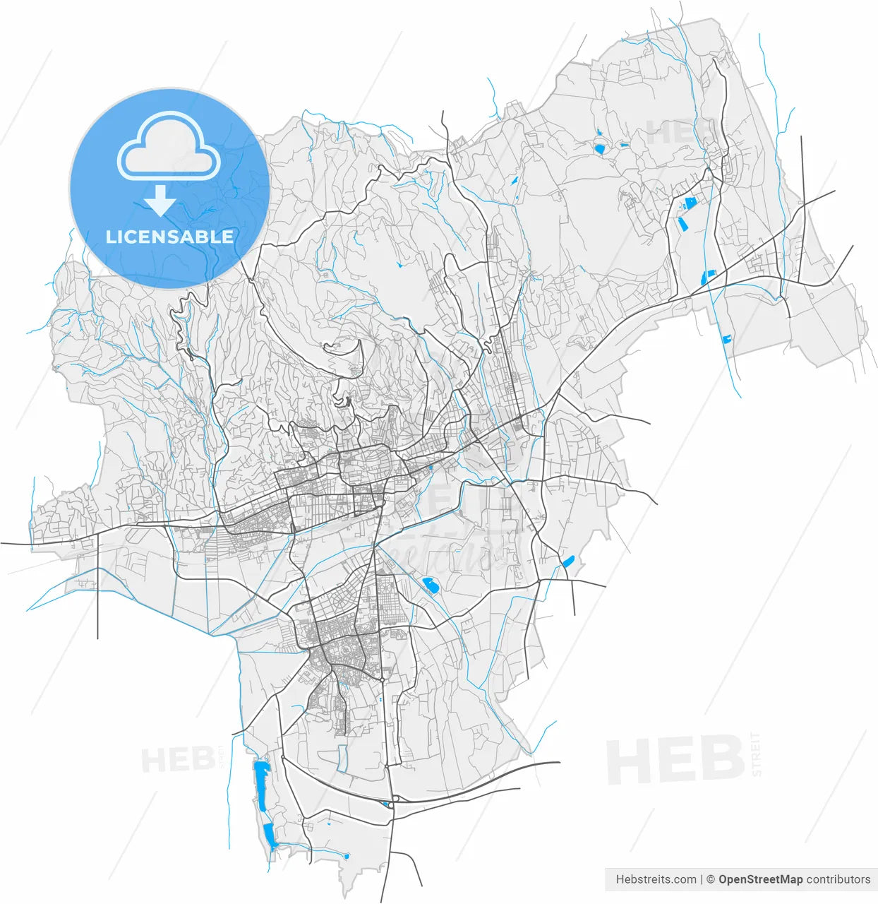Pécs, Baranya, Hungary, high resolution vector map - Instant download PDF and JPG