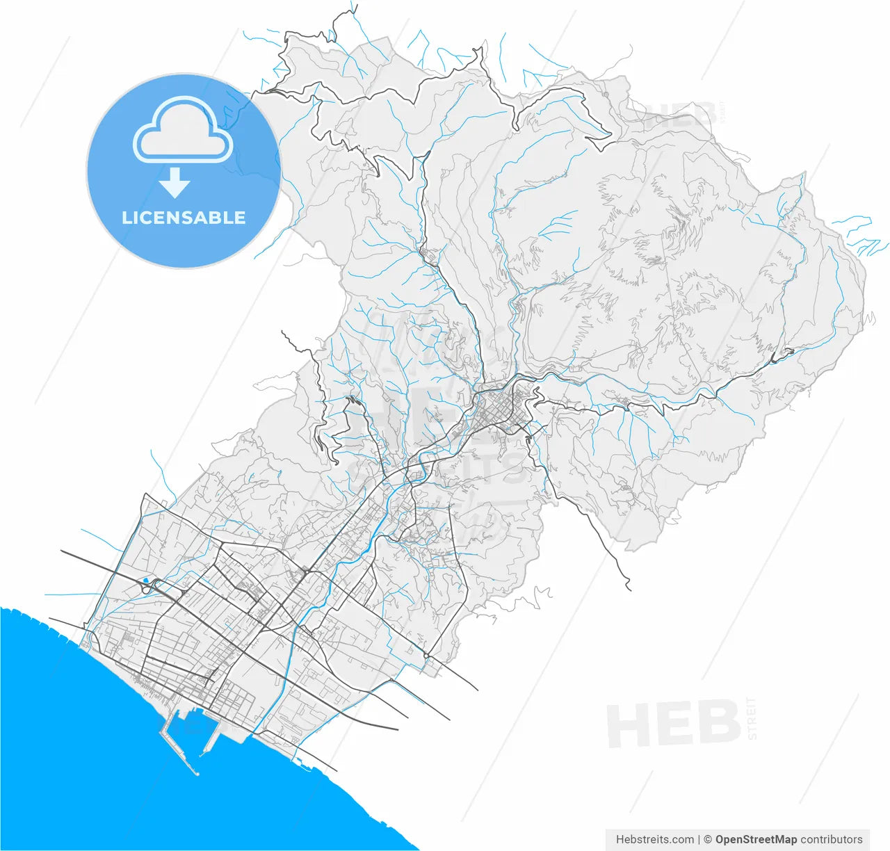 Carrara, Tuscany, Italy, high resolution vector map - Instant download PDF and JPG