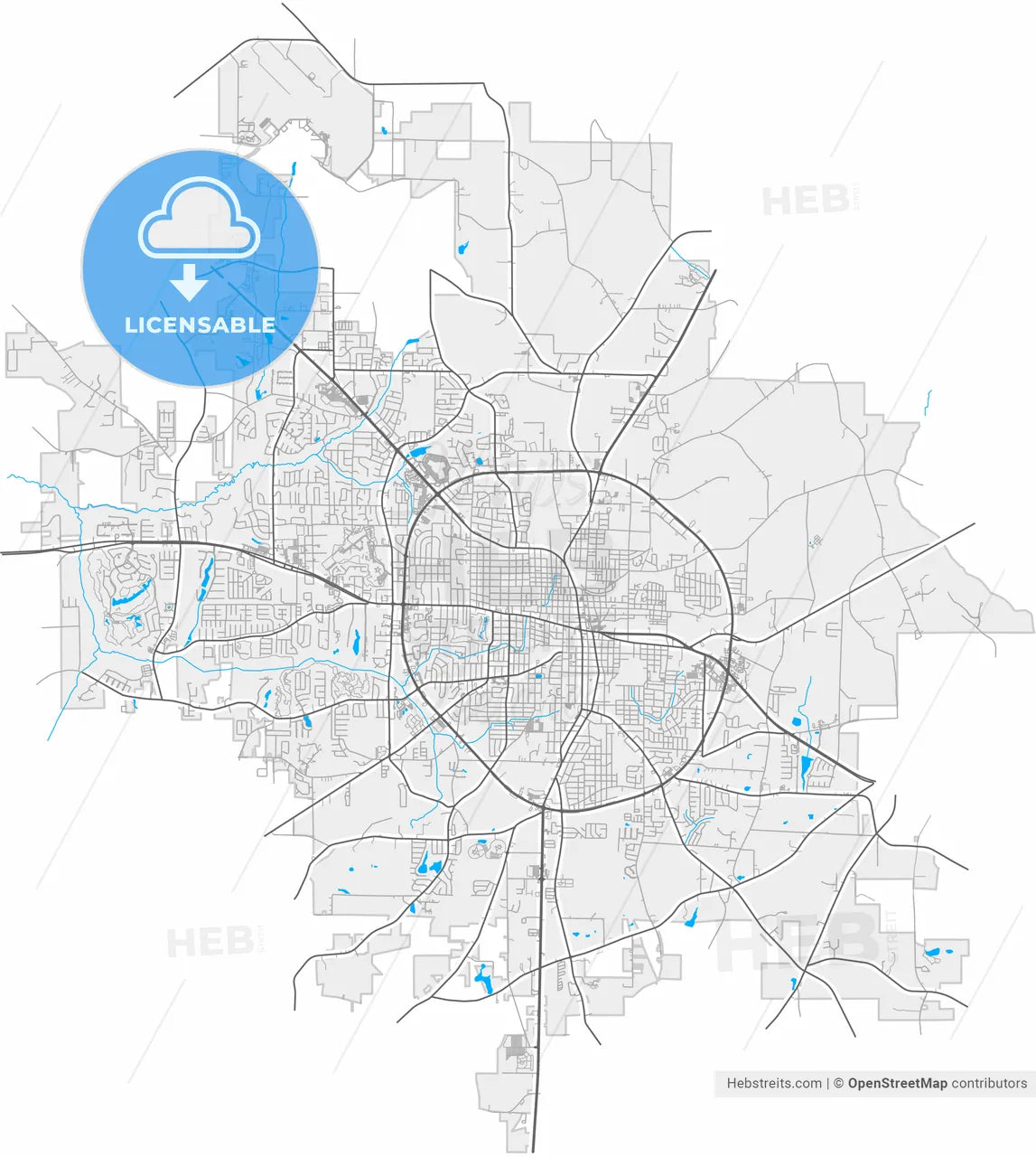 Dothan, Alabama, United States, high resolution vector map - Instant download PDF and JPG