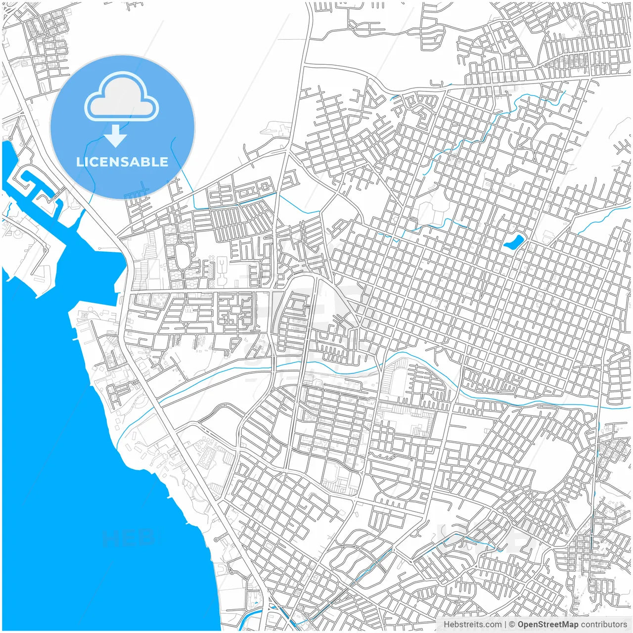 Puerto Vallarta, Jalisco, Mexico, city map with high resolution roads.