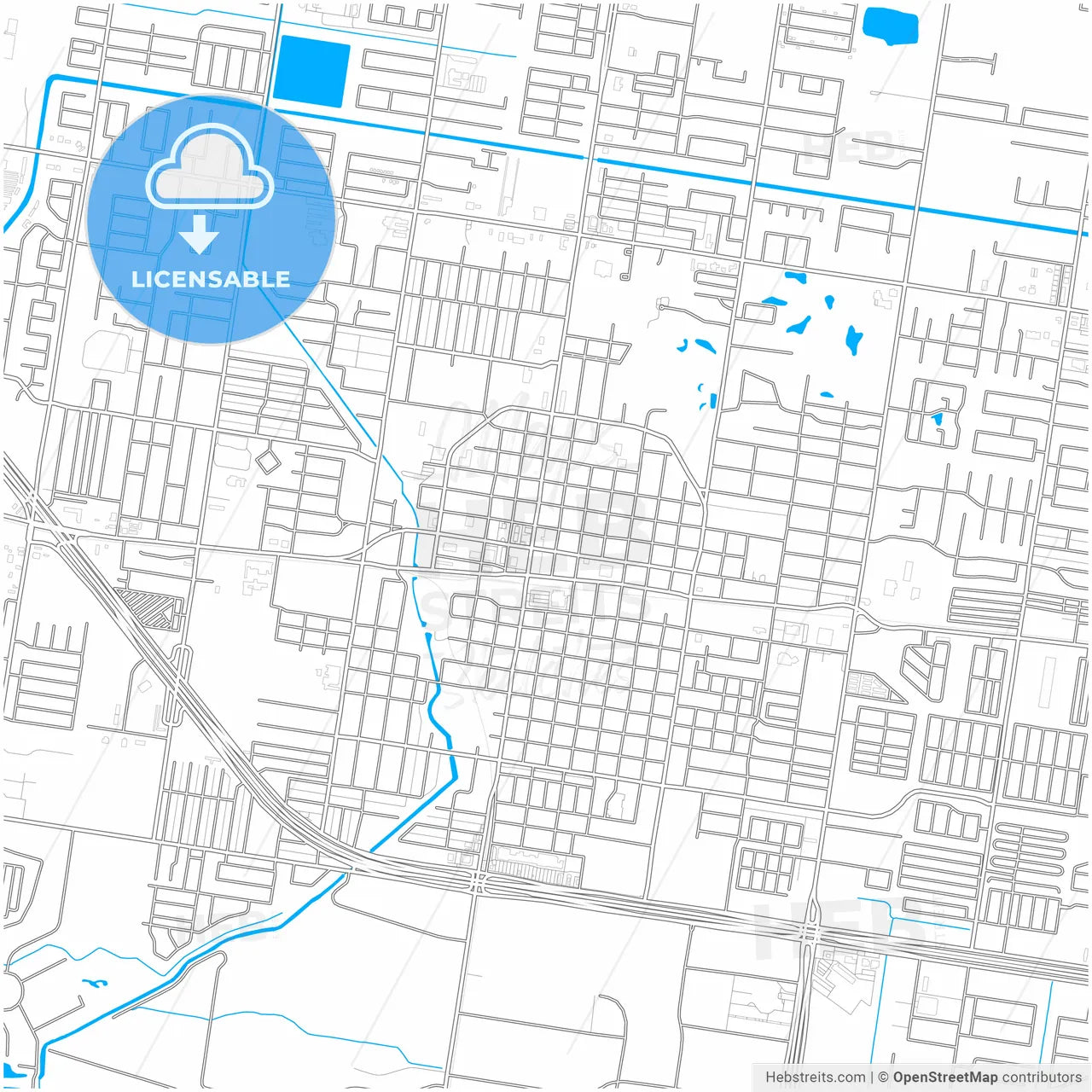 Mission, Texas, United States, city map with high resolution roads.