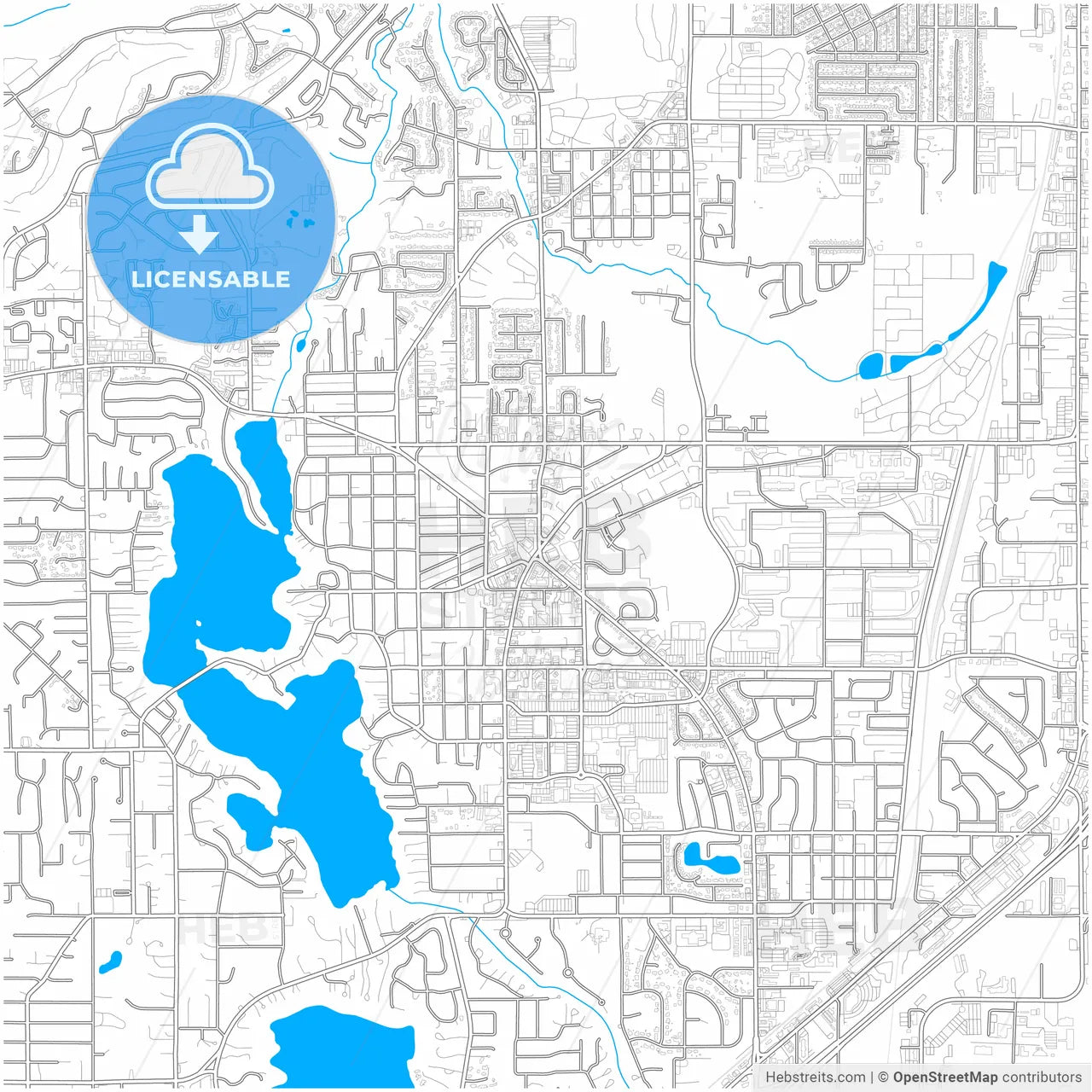 Lakewood, Washington, United States, city map with high resolution roads.