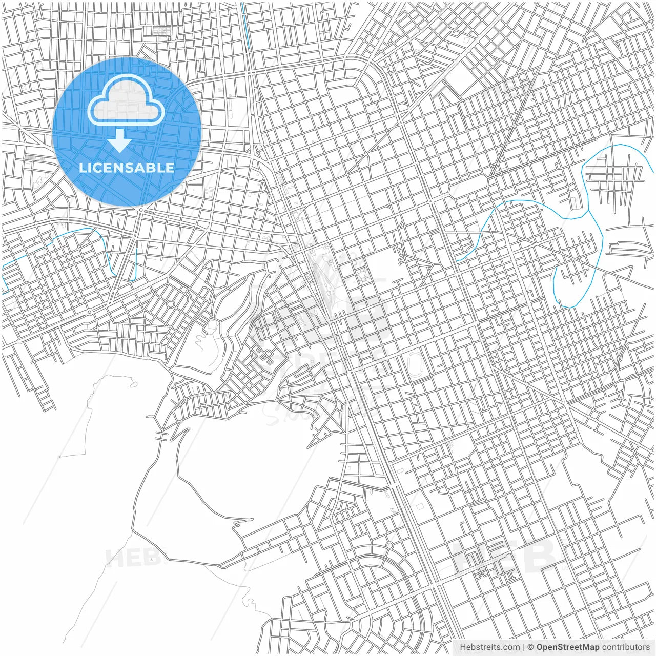 Juliaca, Peru, city map with high resolution roads.