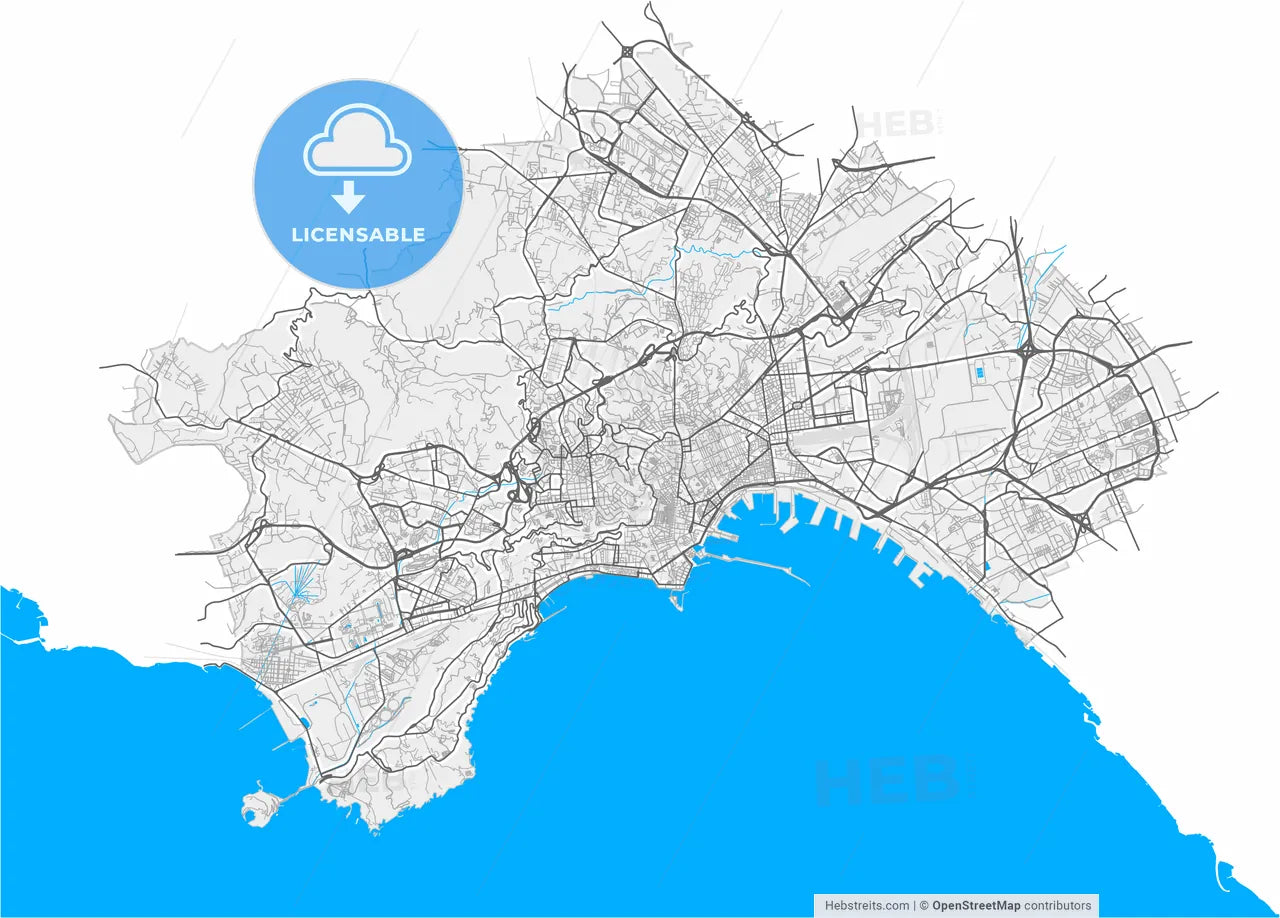 Naples, Campania, Italy, high resolution vector map - Instant download PDF and JPG