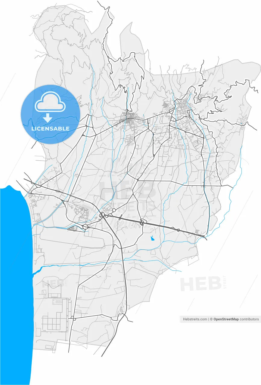 Lamezia Terme, Calabria, Italy, high resolution vector map - Instant download PDF and JPG