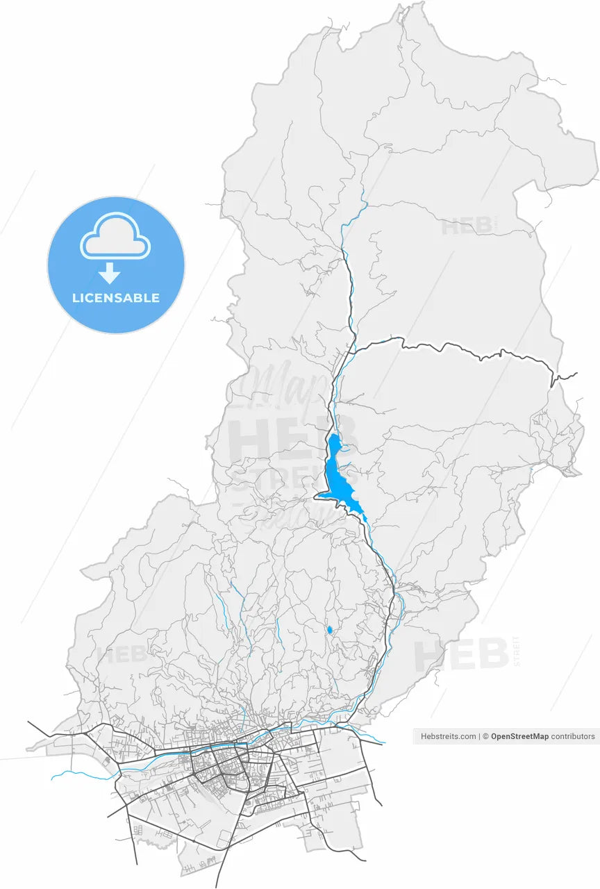 Baia Mare, Maramureș, Romania, high resolution vector map - Instant download PDF and JPG