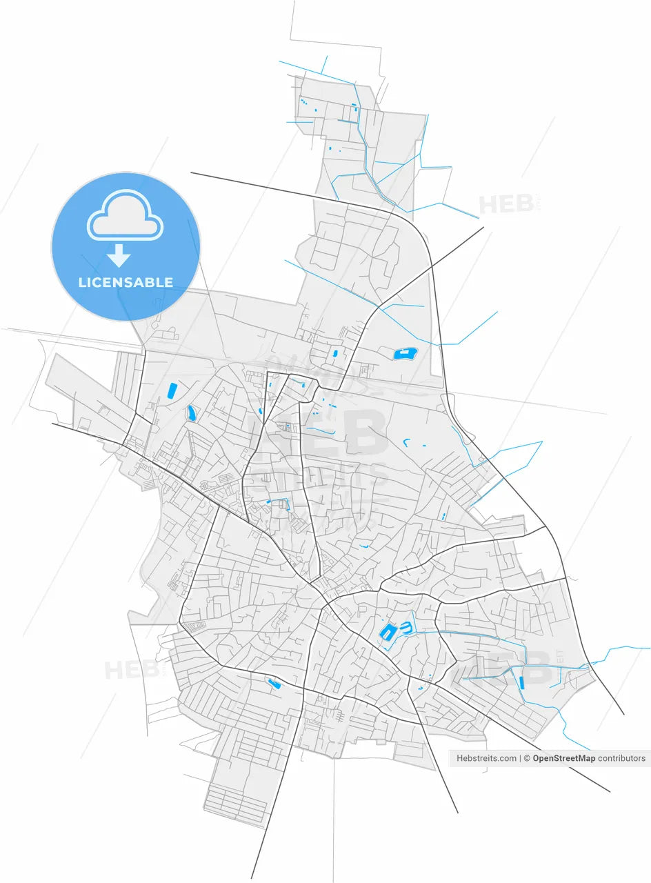 Boryspil, Kyiv Oblast, Ukraine, high resolution vector map - Instant download PDF and JPG
