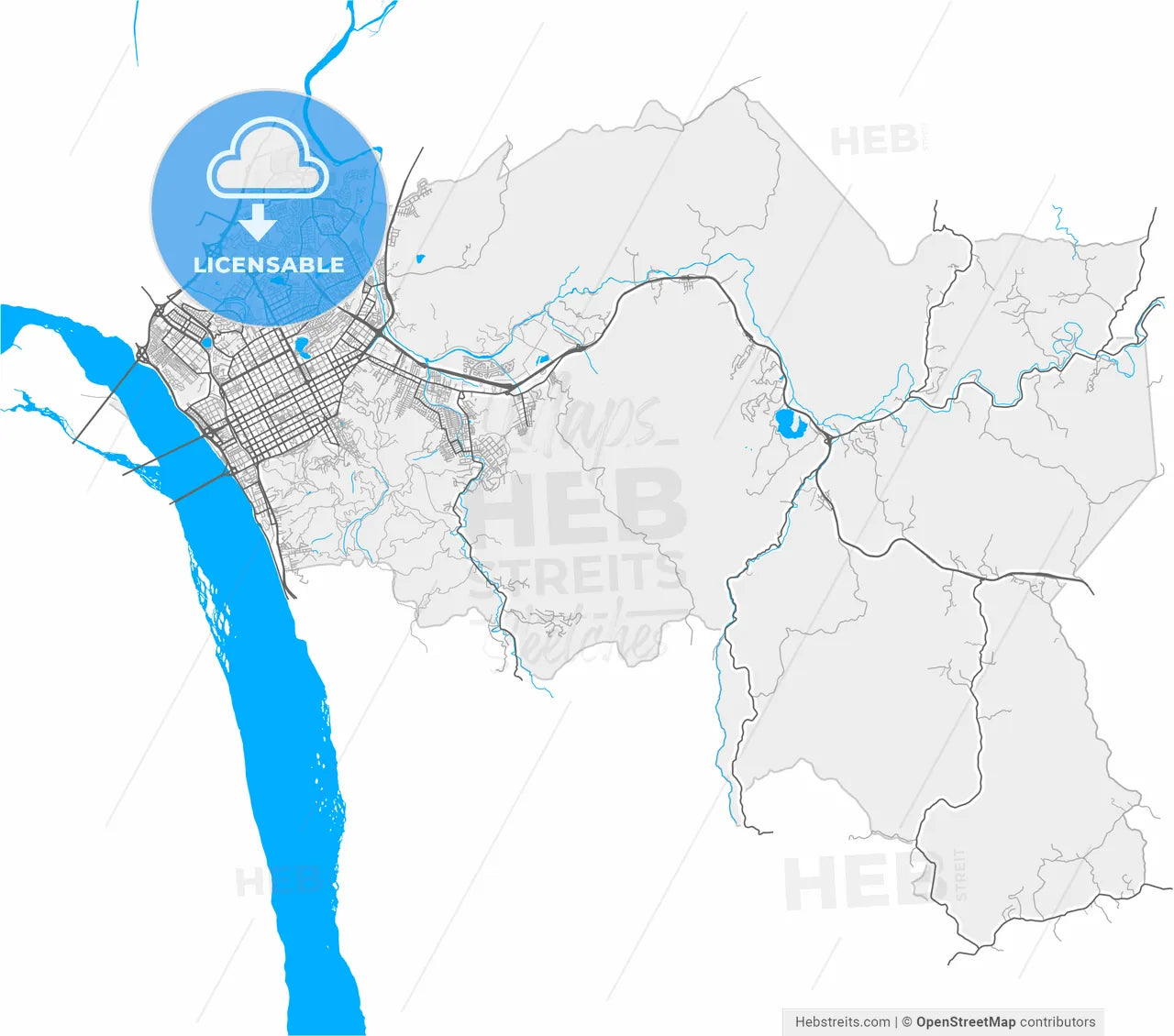 Concepcion, Chile, high resolution vector map - Instant download PDF and JPG