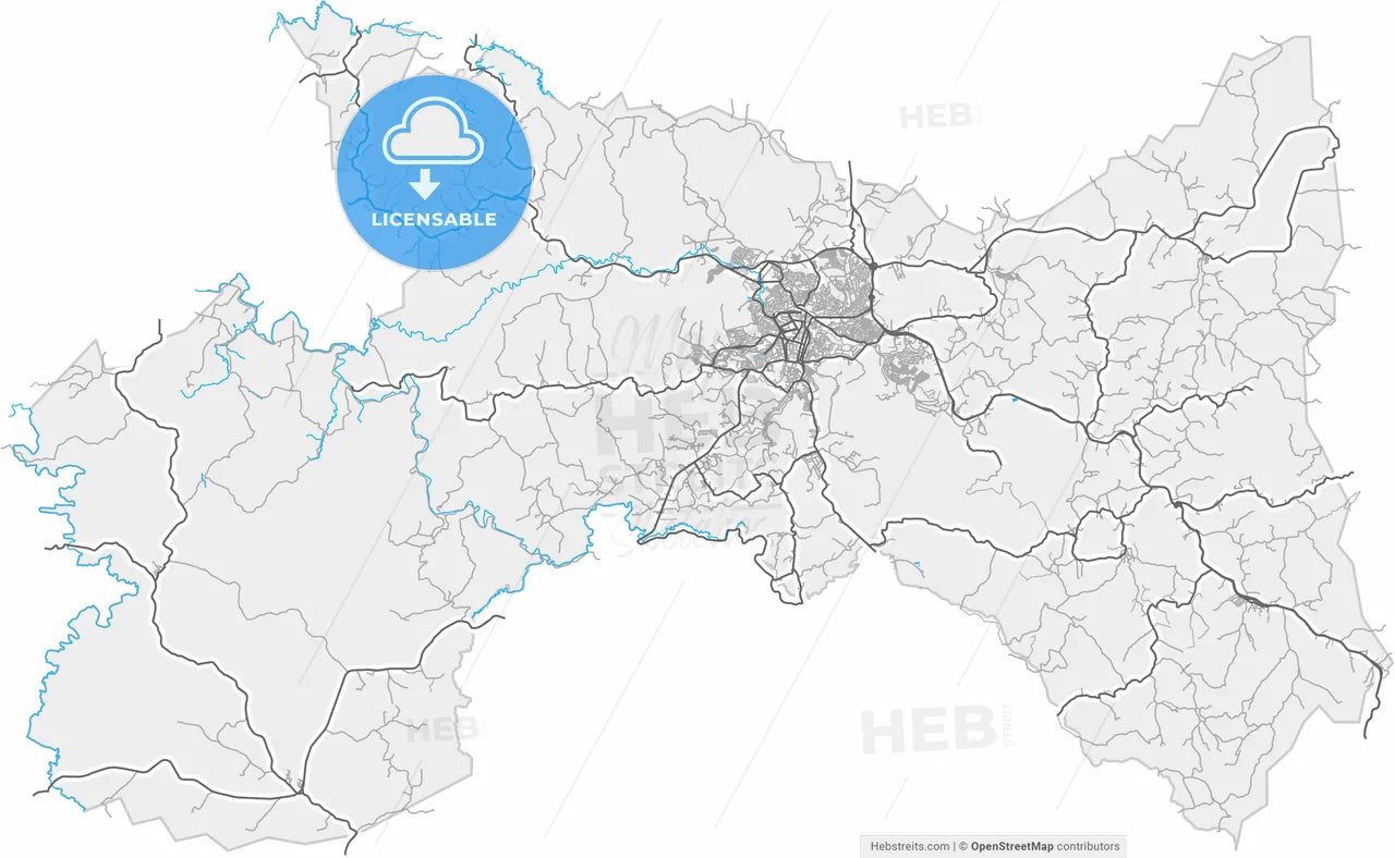 Barbacena, Brazil, high resolution vector map - Instant download PDF and JPG