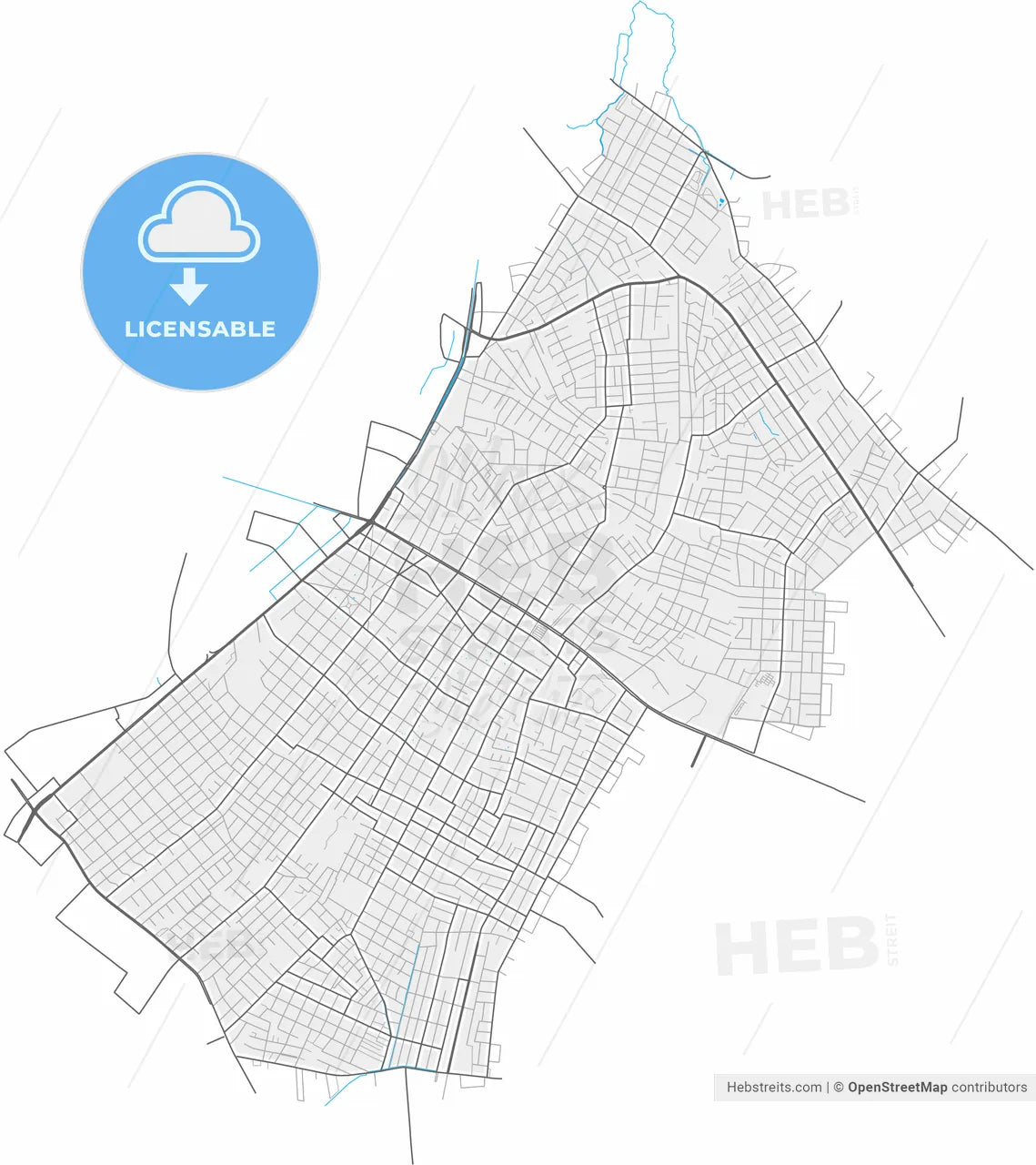 Fernando de la Mora, Paraguay, high resolution vector map - Instant download PDF and JPG