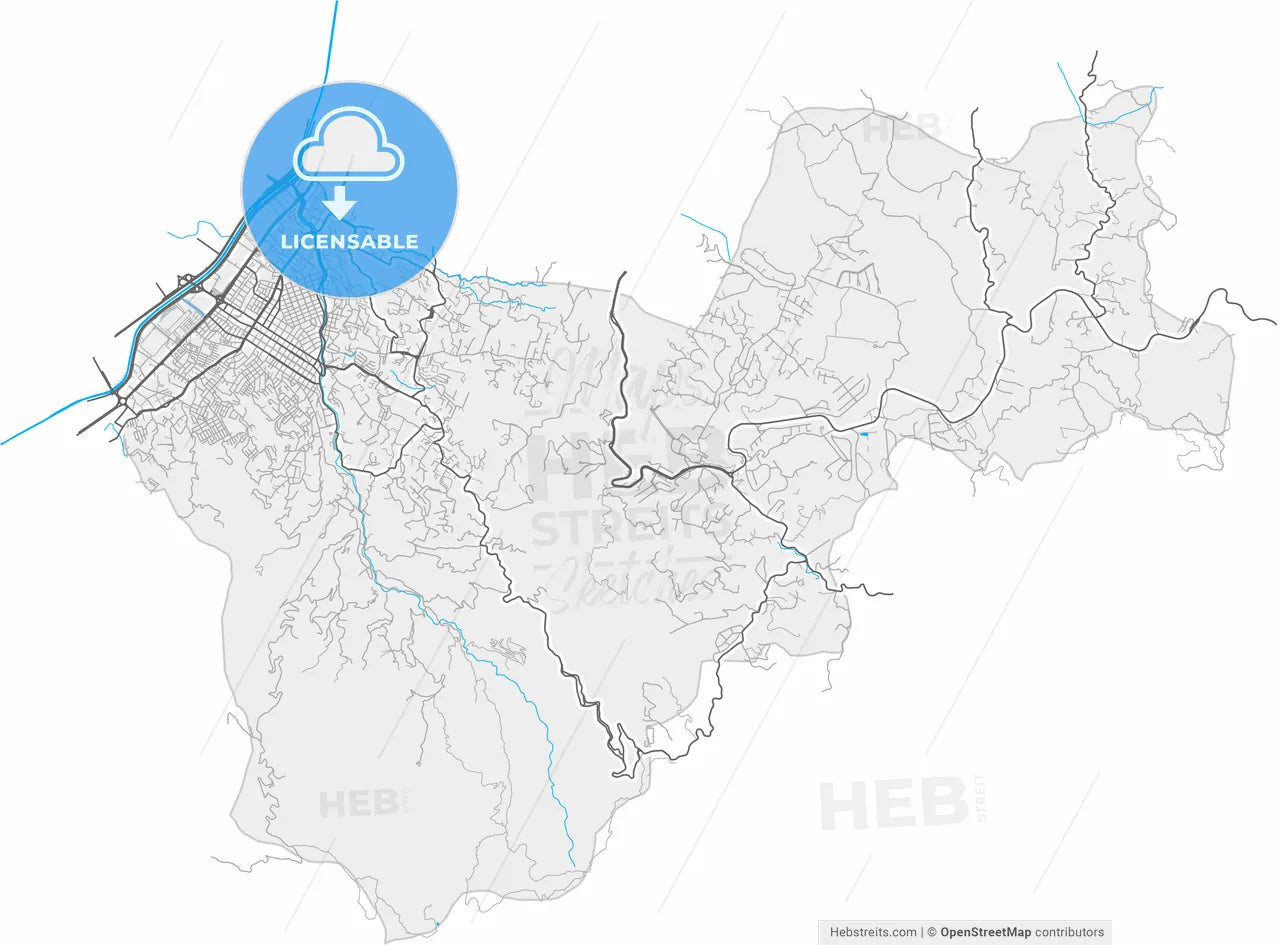 Envigado, Colombia, high resolution vector map - Instant download PDF and JPG
