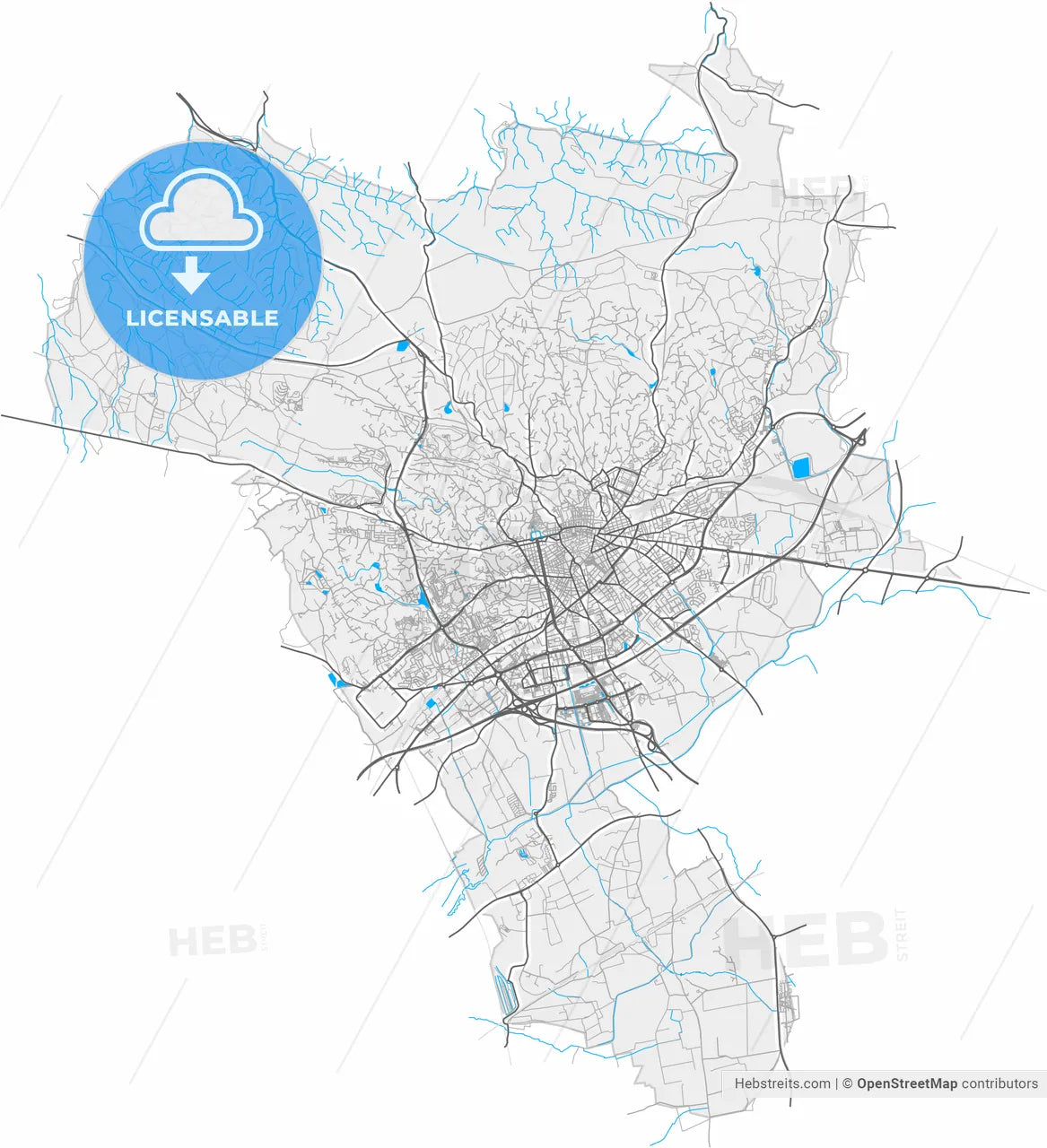Nîmes, Gard, France, high resolution vector map - Instant download PDF and JPG