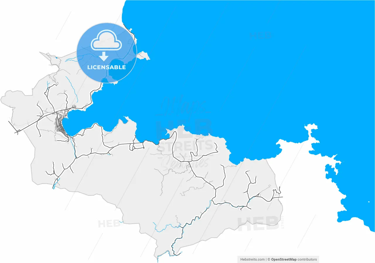 Tatvan, Bitlis, Turkey, high resolution vector map - Instant download PDF and JPG