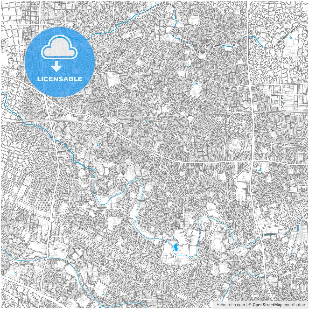Suginami, Tokyo, Japan, city map with high resolution roads.
