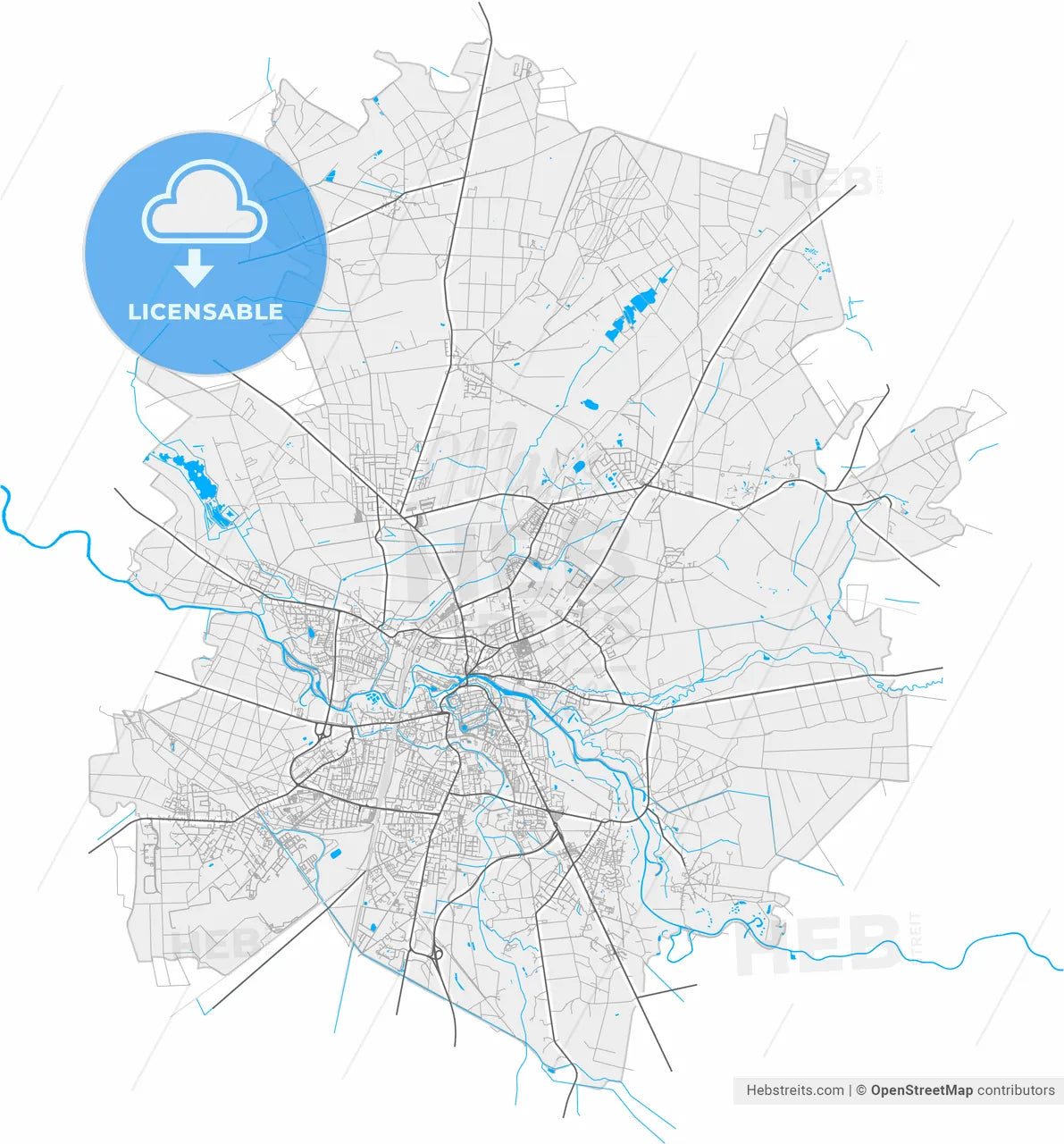 Celle, Lower Saxony, Germany, high resolution vector map - Instant download PDF and JPG