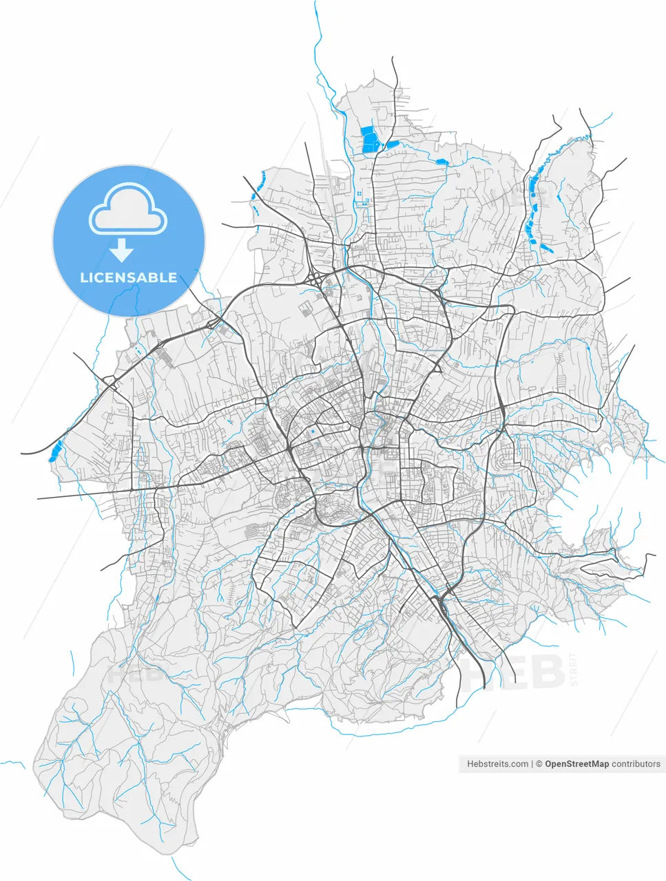 Bielsko-Biała, Silesian, Poland, high resolution vector map - Instant download PDF and JPG
