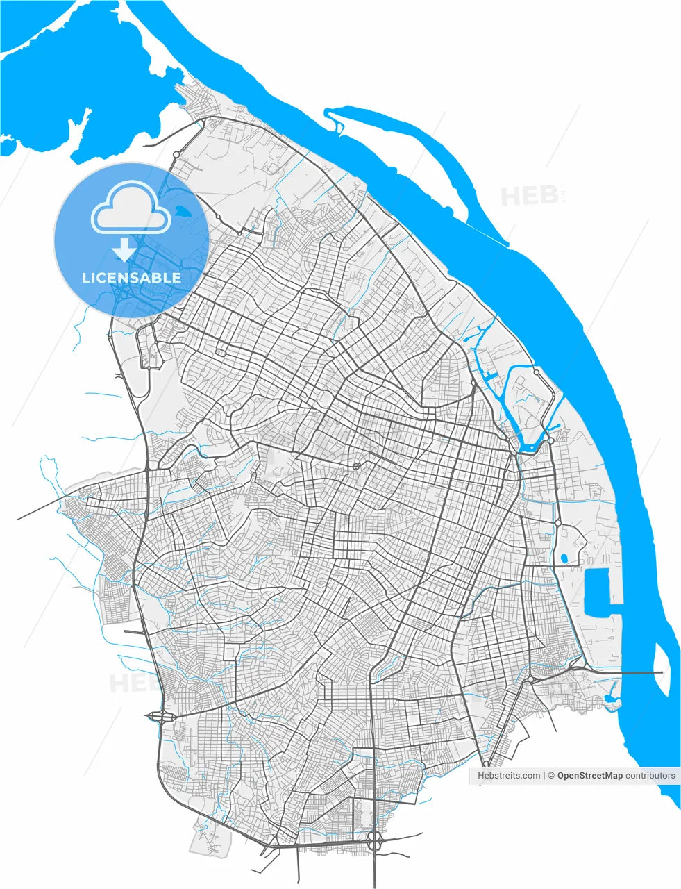 Barranquilla, Colombia, high resolution vector map - Instant download PDF and JPG