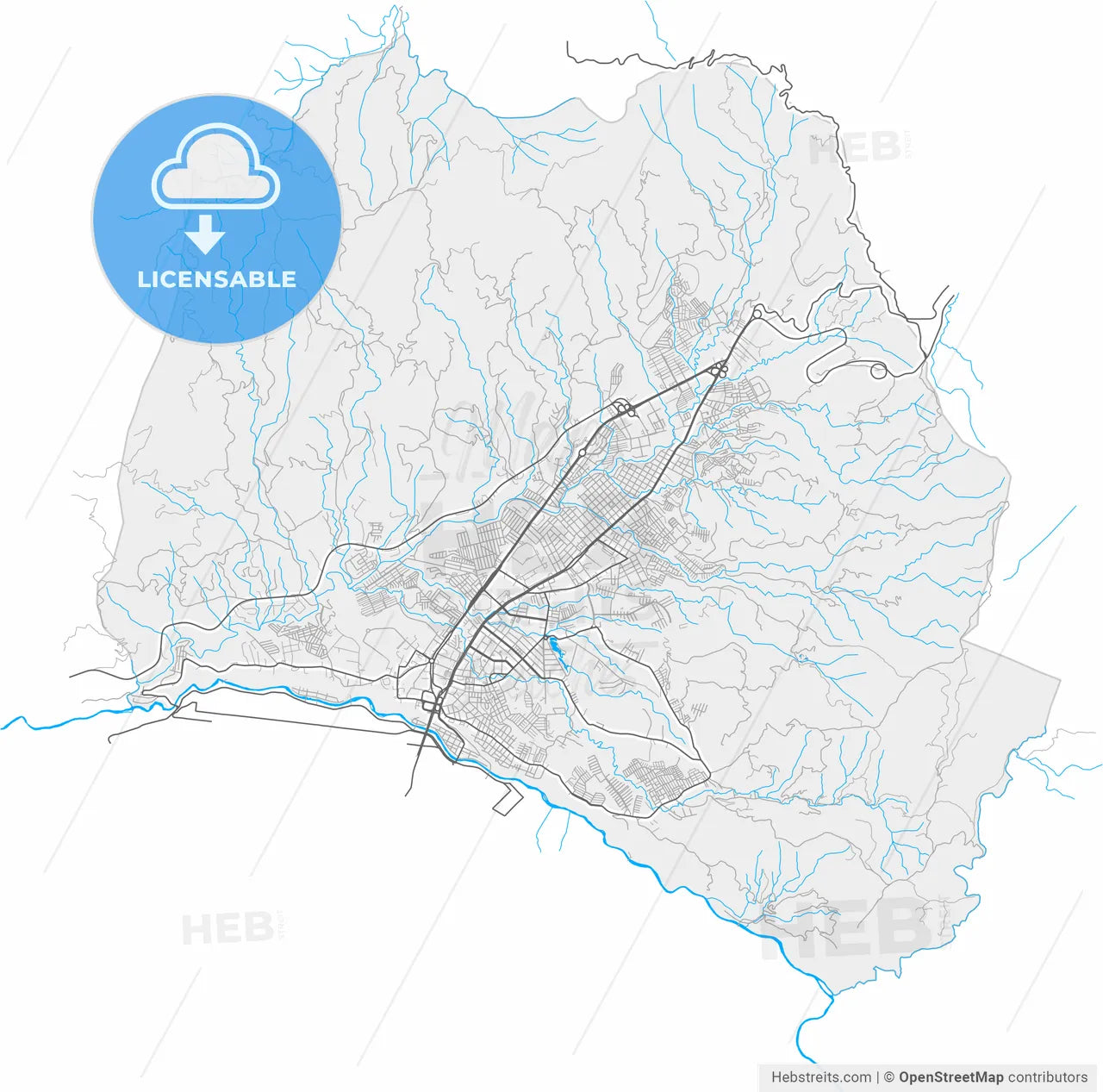 Dosquebradas, Colombia, high resolution vector map - Instant download PDF and JPG