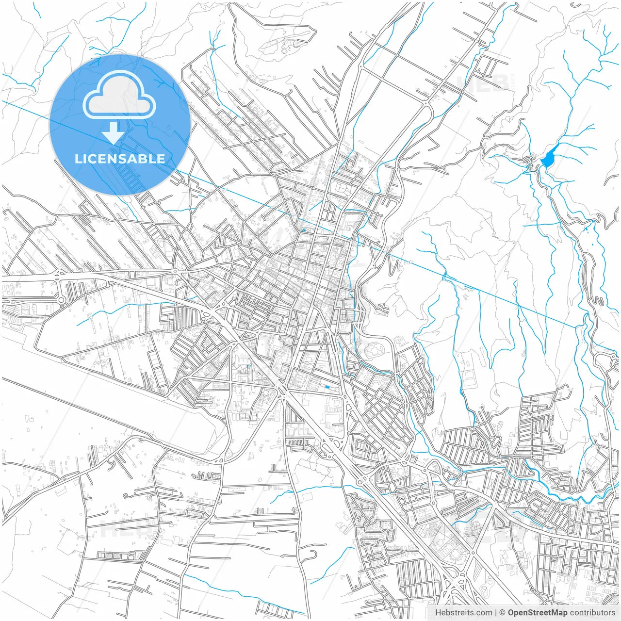La Laguna, Santa Cruz de Tenerife, Spain, city map with high resolution roads.